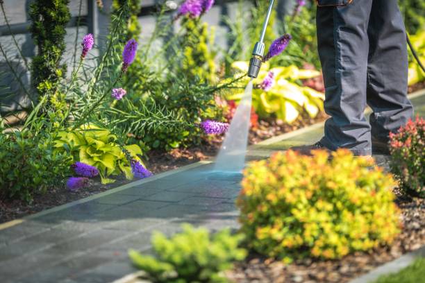 Best Fence Cleaning  in Weldon Spring, MO