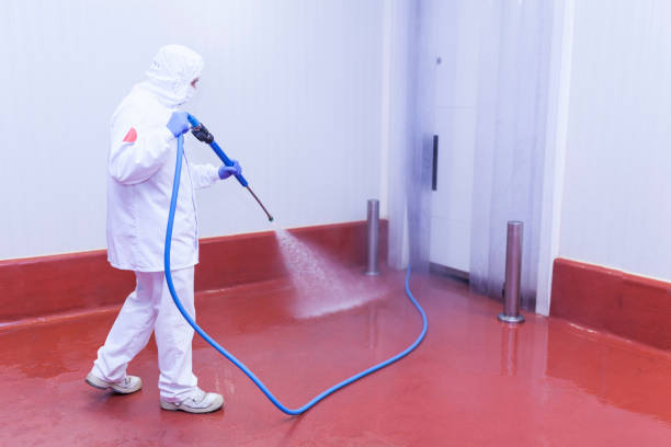 Best Patio and Deck Pressure Washing  in Weldon Spring, MO
